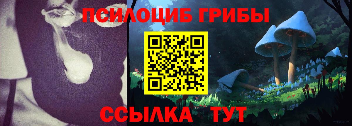 Псилоцибиновые грибы прущие грибы Барабинск